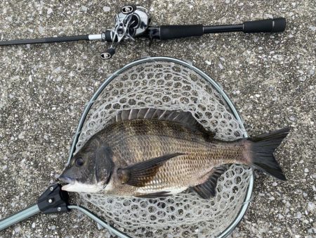 淀川水系チニング