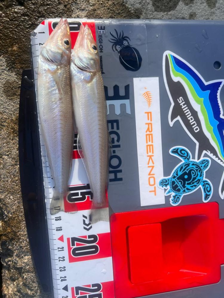 炎天下のサーフ責め!