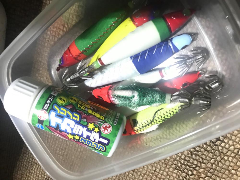 小浜 海生丸のイカメタル深夜便