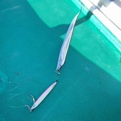 タチウオ/タチウオジギング