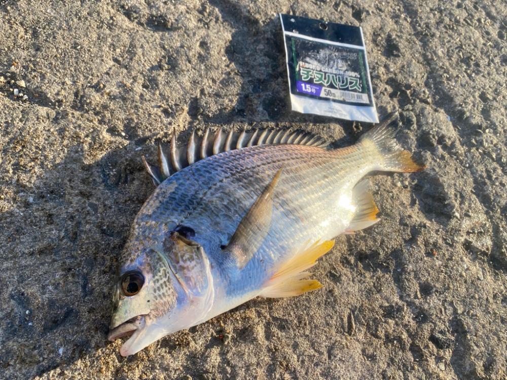 暑さが厳しい中