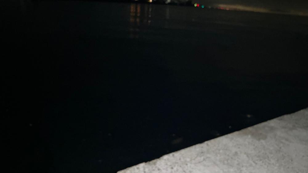 今季初タチウオ