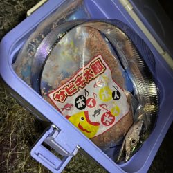 今シーズン初タチ