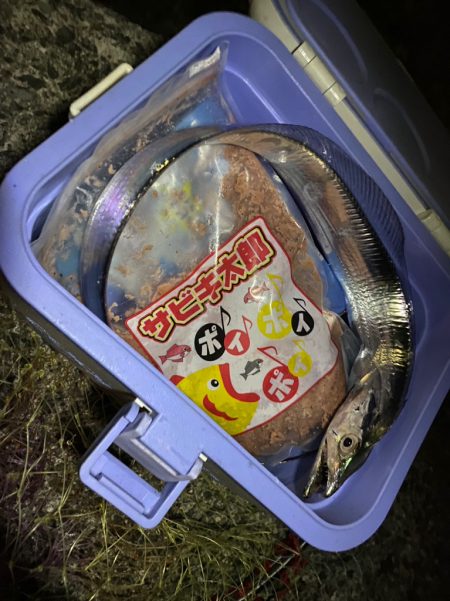 今シーズン初タチ