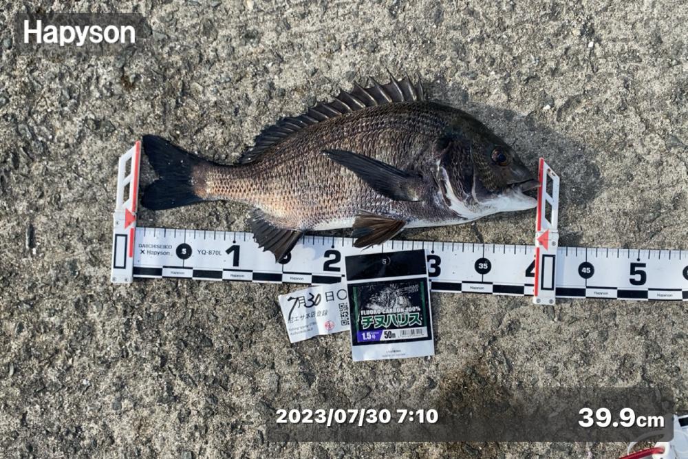 釣り開始から釣れ始め