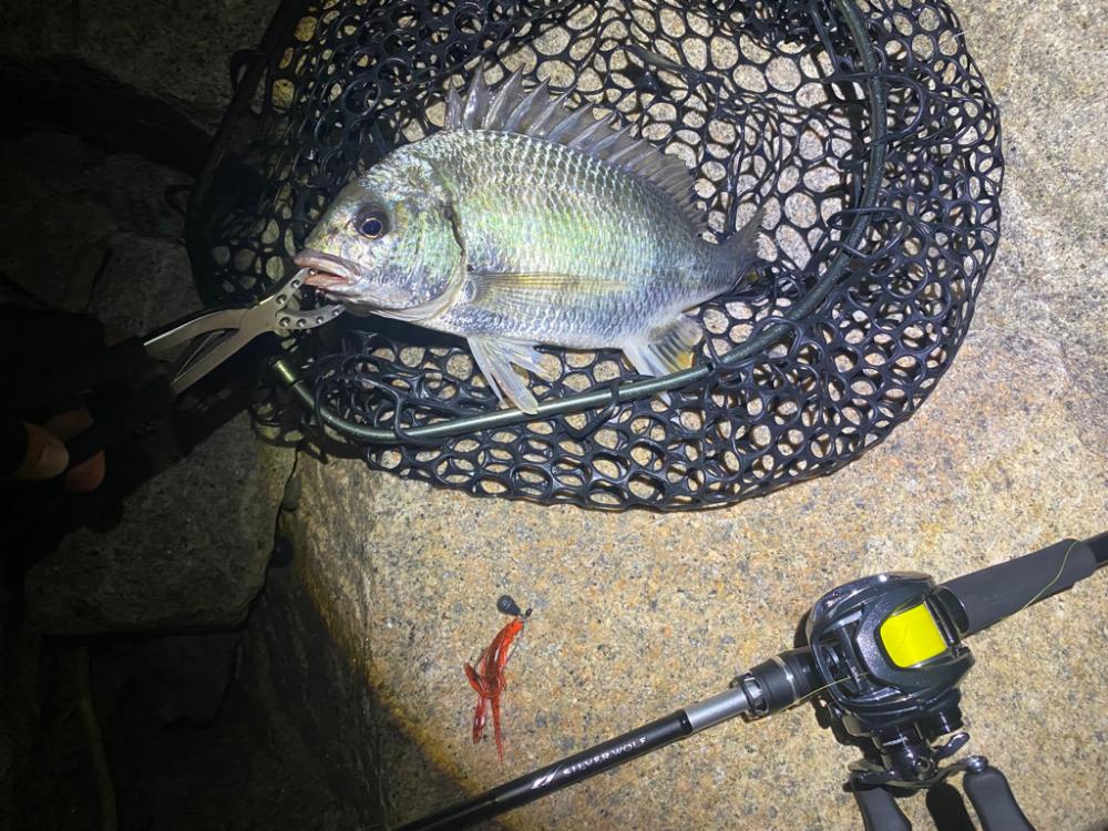 台風の影響特に無し淀川チニング