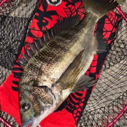 ヘチってきました