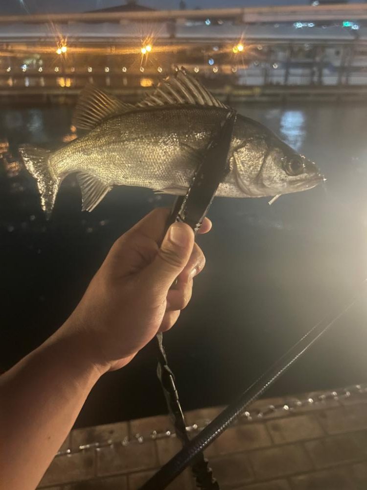 ライトゲーム!!