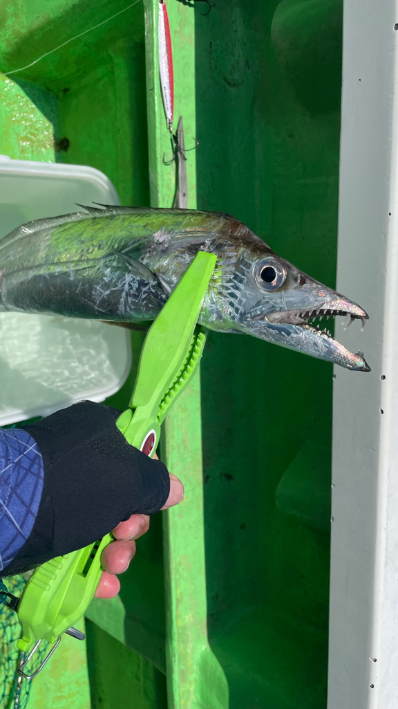 CLUE オフショア大会　8月