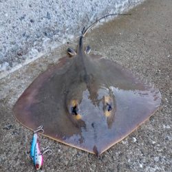 プチsalt water game