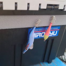 和歌山市江（吉丸渡船）でイカメタル