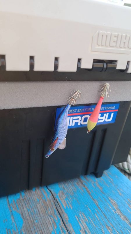 和歌山市江（吉丸渡船）でイカメタル