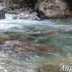 揖保川、禁漁前の大爆釣！