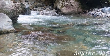 揖保川、禁漁前の大爆釣！