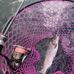 釣食浪漫 ～雨乞い？！～