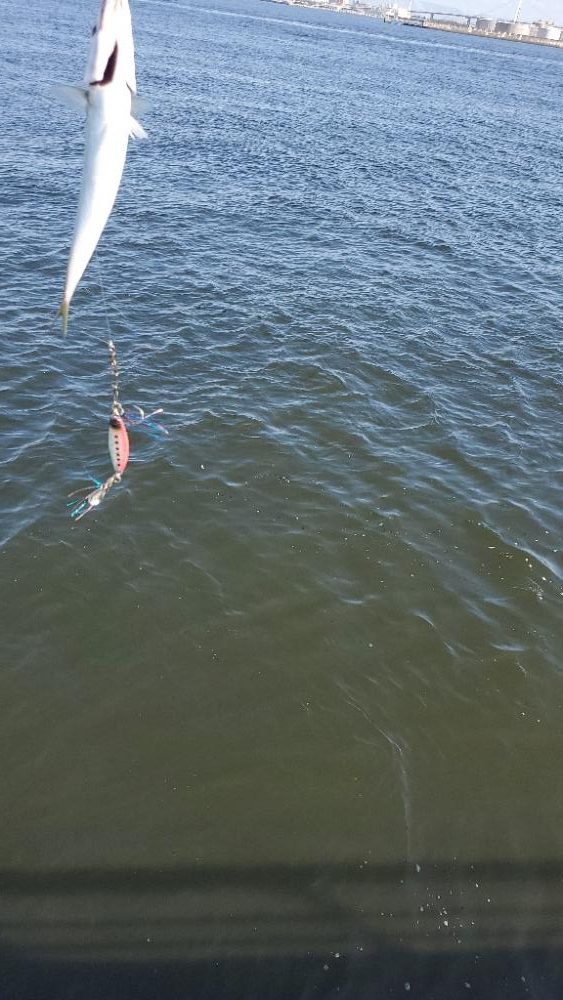 サバゲーとタコ