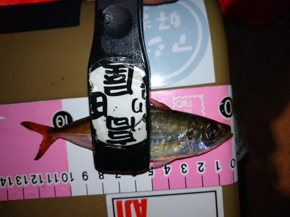 今夜もとにかく修行