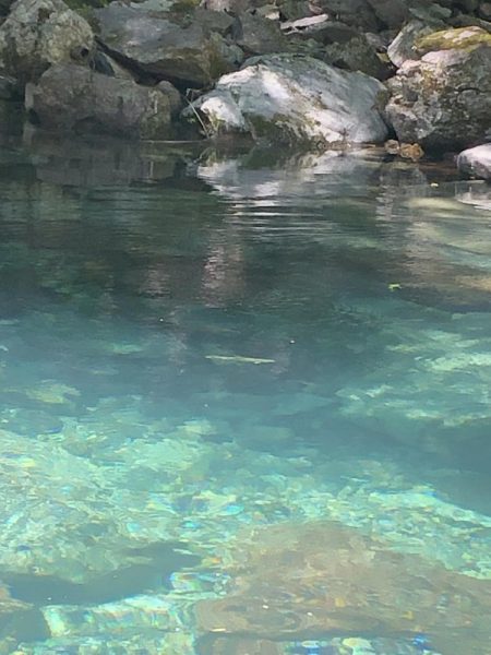 シーズン終盤　ニジマスラッシュ