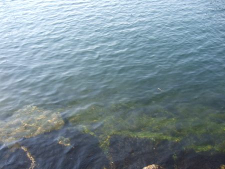 相変わらず渋い