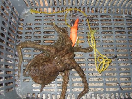 まとまった雨が降ったので