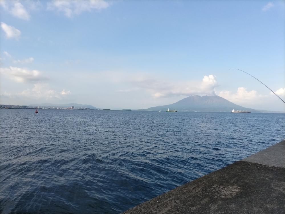 ネイゴ（カンパチ幼魚）釣れました!