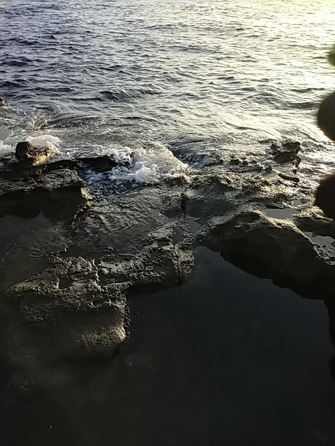 フォールでボトム付近