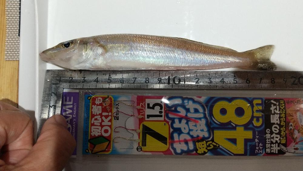 キスサイズ更新