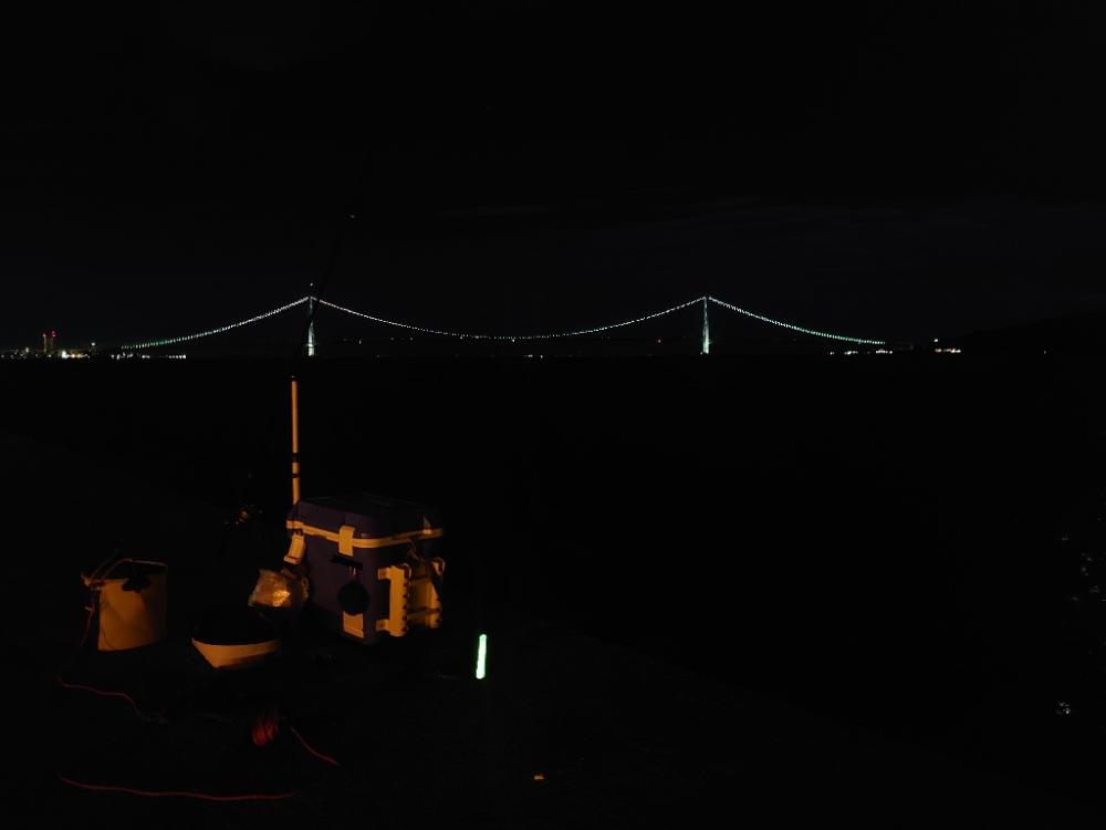 太刀魚ホーム調査🎣