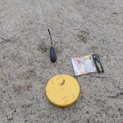 室津のキス釣り