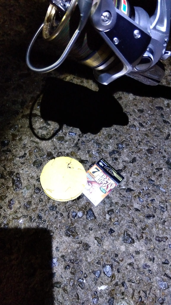 苅屋海岸のキス釣り