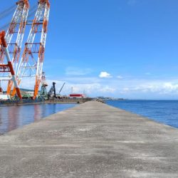 釣り人が少ない播磨新島