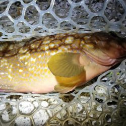 台風から逃げて山口遠征