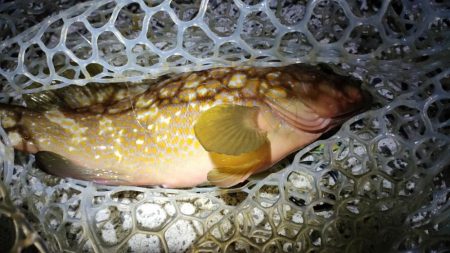 台風から逃げて山口遠征