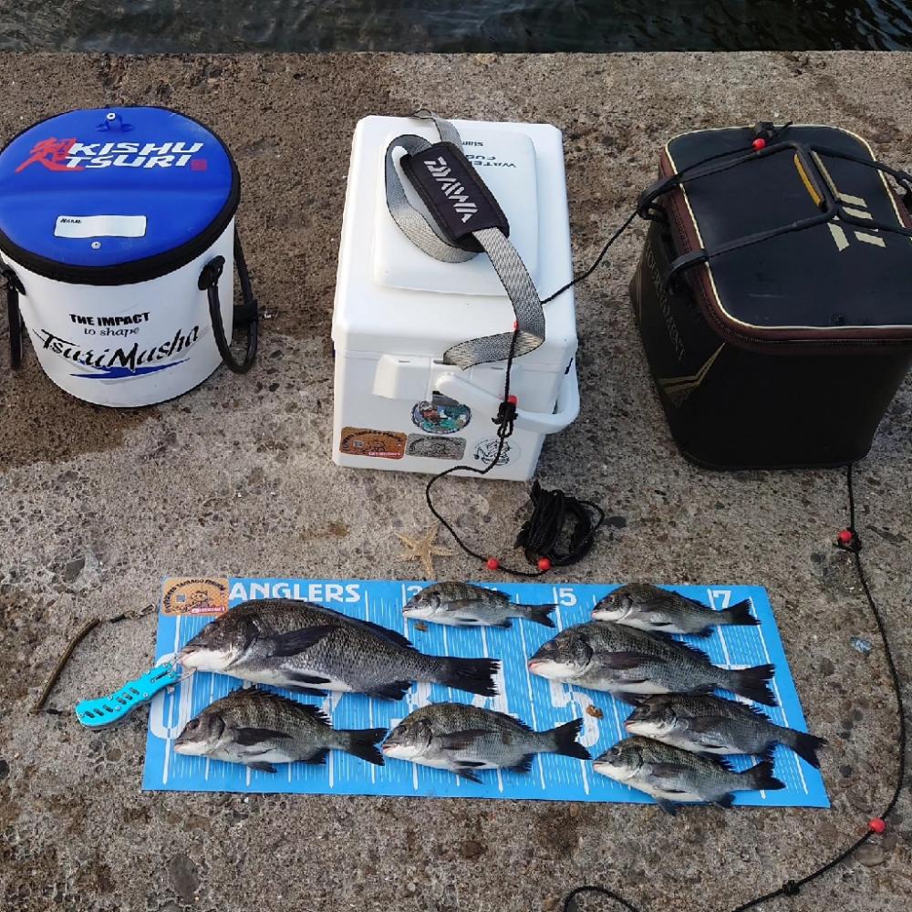 紀州釣り第4戦✨