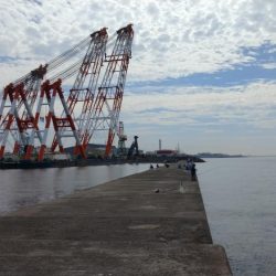 良型キスが釣れない播磨新島