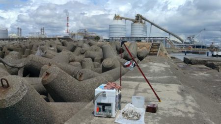 高砂港のキス調査Ⅱ