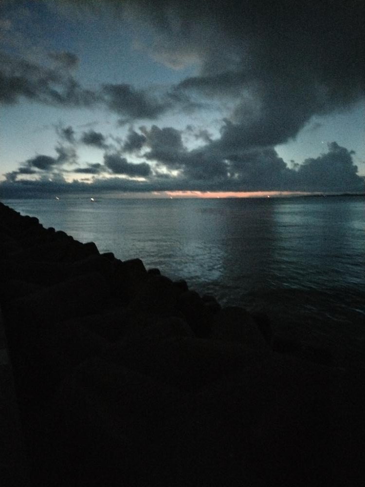 ガシラ　タチウオ　エソ