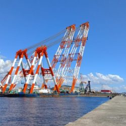 播磨新島のキス釣査