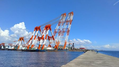 播磨新島のキス釣査