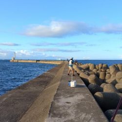 高砂港のキス釣査Ⅲ