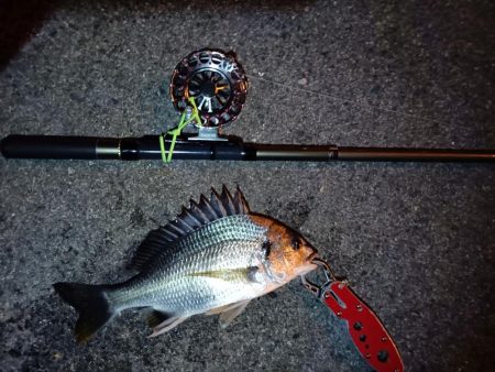 2023/08/30 南港ヘチ釣り釣行