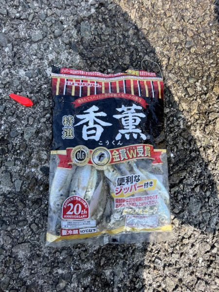 アジしか勝たん②