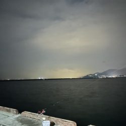 小樽港でシャコとサビキ釣り！！