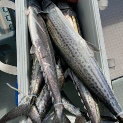 真夏のジギングチャレンジ