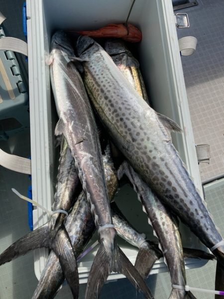 真夏のジギングチャレンジ