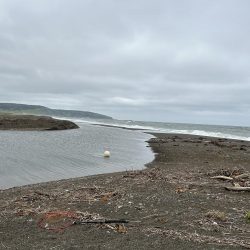 やりました!!アメマス!!昨日のリベンジ