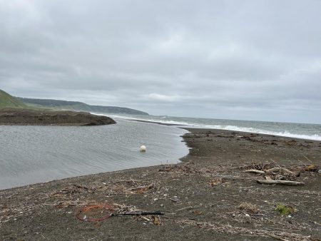 やりました!!アメマス!!昨日のリベンジ