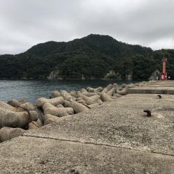 恒例　お盆休みの釣り　パート2