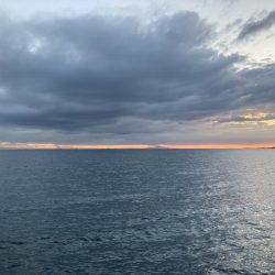 雨上がりのチヌ