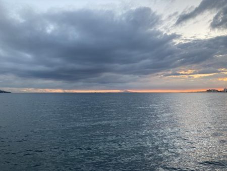 雨上がりのチヌ